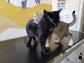 Baba und Lola